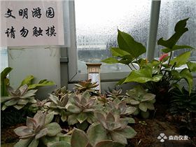 常用的溫度計是什么溫度計？