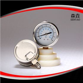 充油壓力表 充油壓力表