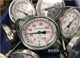 WSS型盤式溫度計的特點