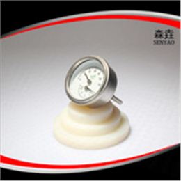 溫度壓力一體表  型號：WHT-12SS