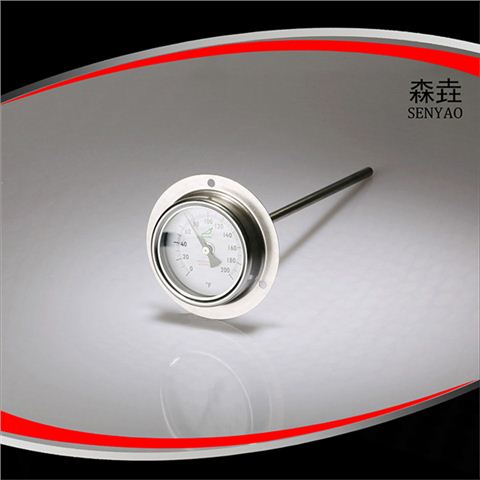 帶后法蘭雙金屬溫度計