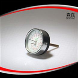 溫度壓力一體表  型號：WHT-13