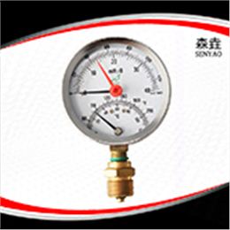 溫度壓力一體表  型號：WHT-20I