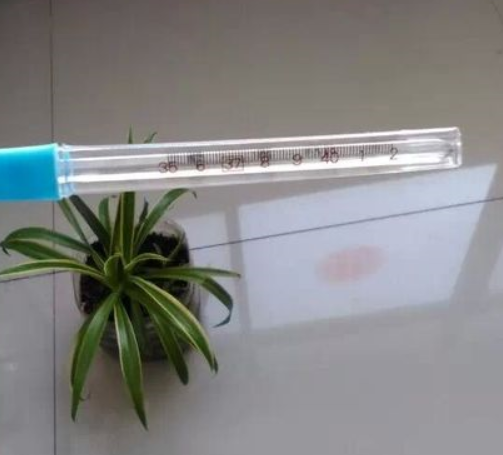 體溫計在使用中需要注意哪些問題呢?