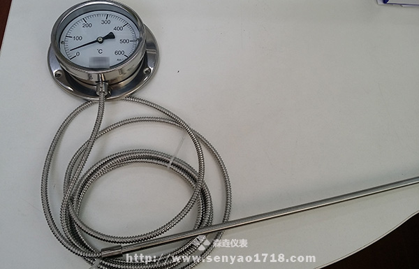 650mm感溫管壓力式溫度計(jì) (2).jpg