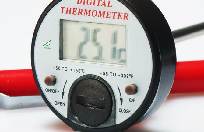 紅葡萄酒的香醇需要電子溫度計