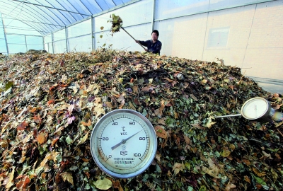 你對堆肥溫度計了解多少？