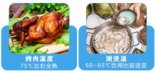 食品電子溫度計(jì)怎么用.JPG