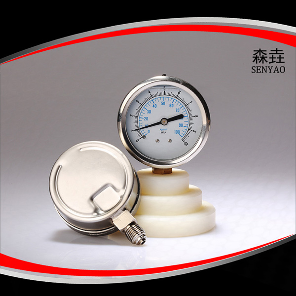壓力表