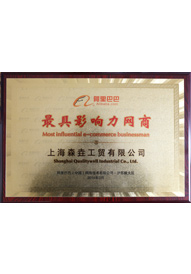 榮獲“最具影響力網商”稱號