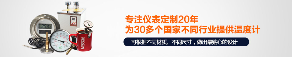 森垚專(zhuān)注儀表定制20年