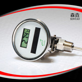 萬(wàn)向太陽(yáng)能電子溫度計(jì) 型號(hào)：DSTA300