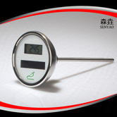 軸向太陽(yáng)能電子溫度計(jì) 型號(hào)：DSTT300