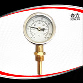 熱水鍋爐用徑向溫度計(jì) 型號：I221H